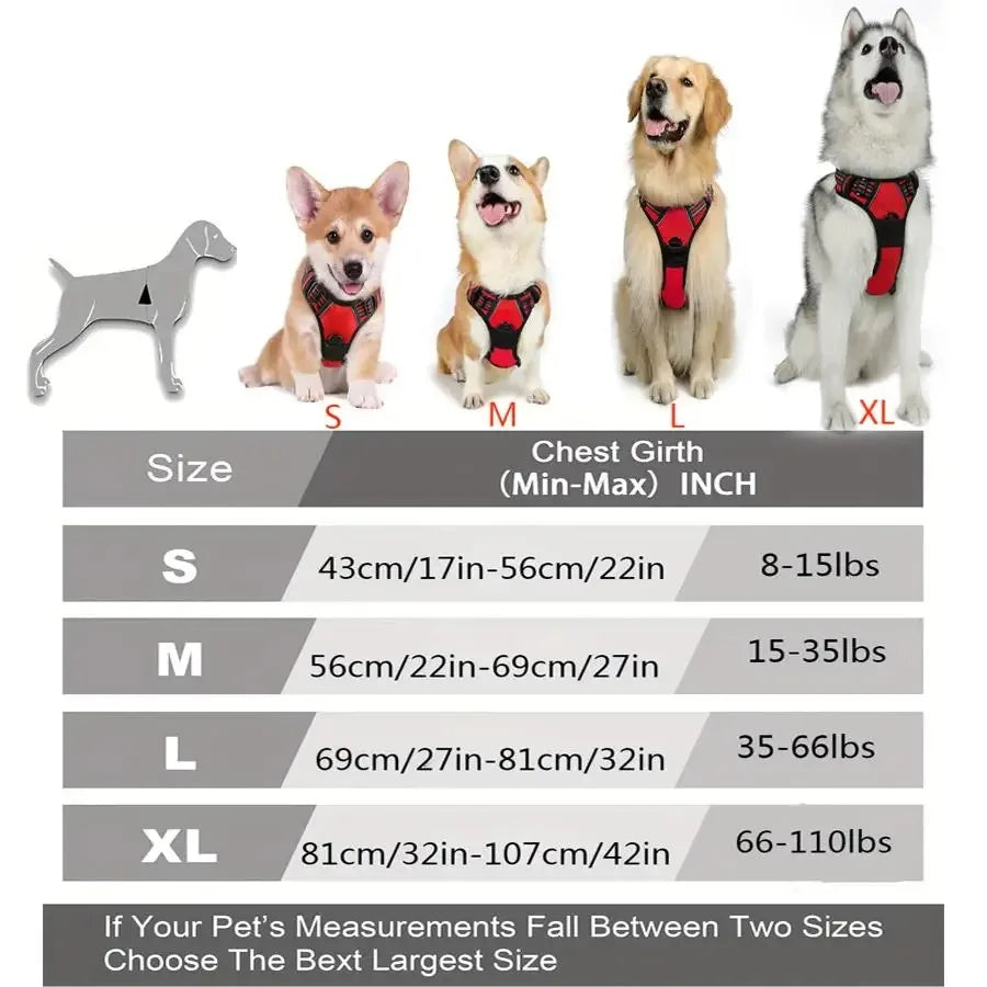 Leather Dog Collar & Harness Set with Leash – Adjustable Vest for Small & Medium Dogs